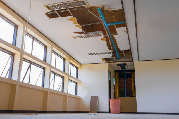 Best Basement water damage restoration  in Fairbanks Ranch, CA