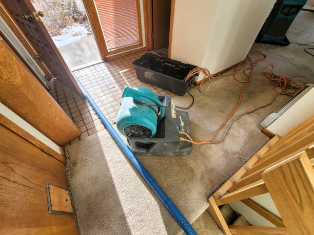 Best Flooded house restoration  in Fairbanks Ranch, CA