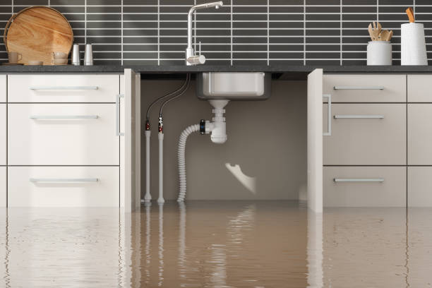 Best Ceiling water damage repair  in Fairbanks Ranch, CA